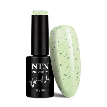 Гібридний лак NTN Premium Sugar Puff Collection 5 г № 184