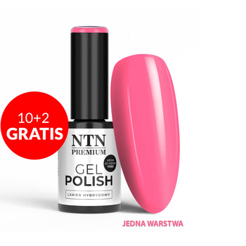 10+2 безкоштовно Гібридні лаки LED/UV Gel Polish NTN Premium Limited Edition № 343 без HEMA/Di-HEMA, 5 г