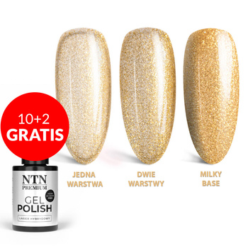 10+2 безкоштовно Гібридні лаки LED/UV Gel Polish NTN Premium Limited Edition № 330 без HEMA/Di-HEMA, 5 г