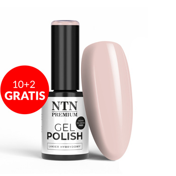 10+2 безкоштовно Гібридний лак Ntn Premium Delicate French без HEMA/Di-HEMA, 5 г, № 304