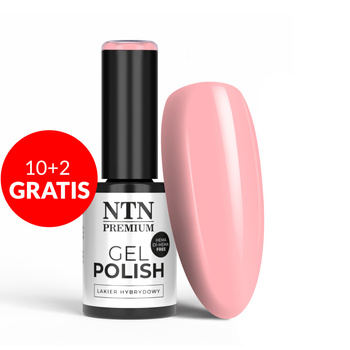 10+2 безкоштовно Гібридний лак NTN Premium Delicate French без HEMA/Di-HEMA, 5 г, № 299