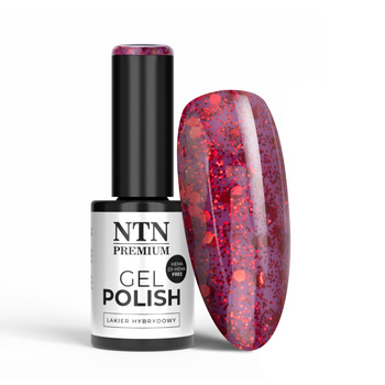 Гібридний лак NTN Premium Passion for Love Collection без HEMA/Di-HEMA, 5 г, № 206